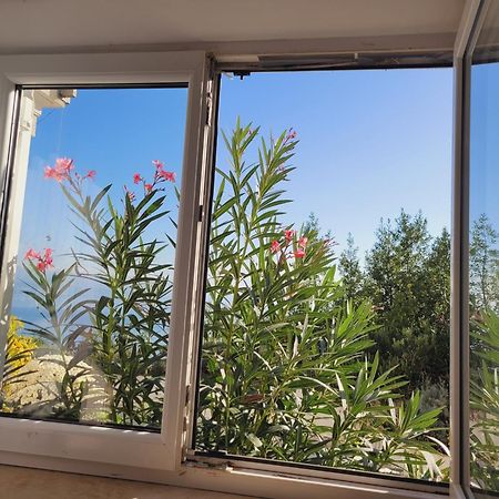 Apartments Chiara Mit Meerblick Und Pool Und Jacuzzi 로브란 외부 사진
