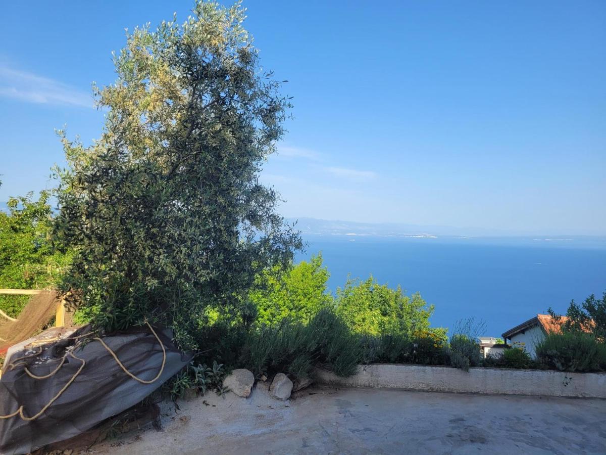 Apartments Chiara Mit Meerblick Und Pool Und Jacuzzi 로브란 외부 사진