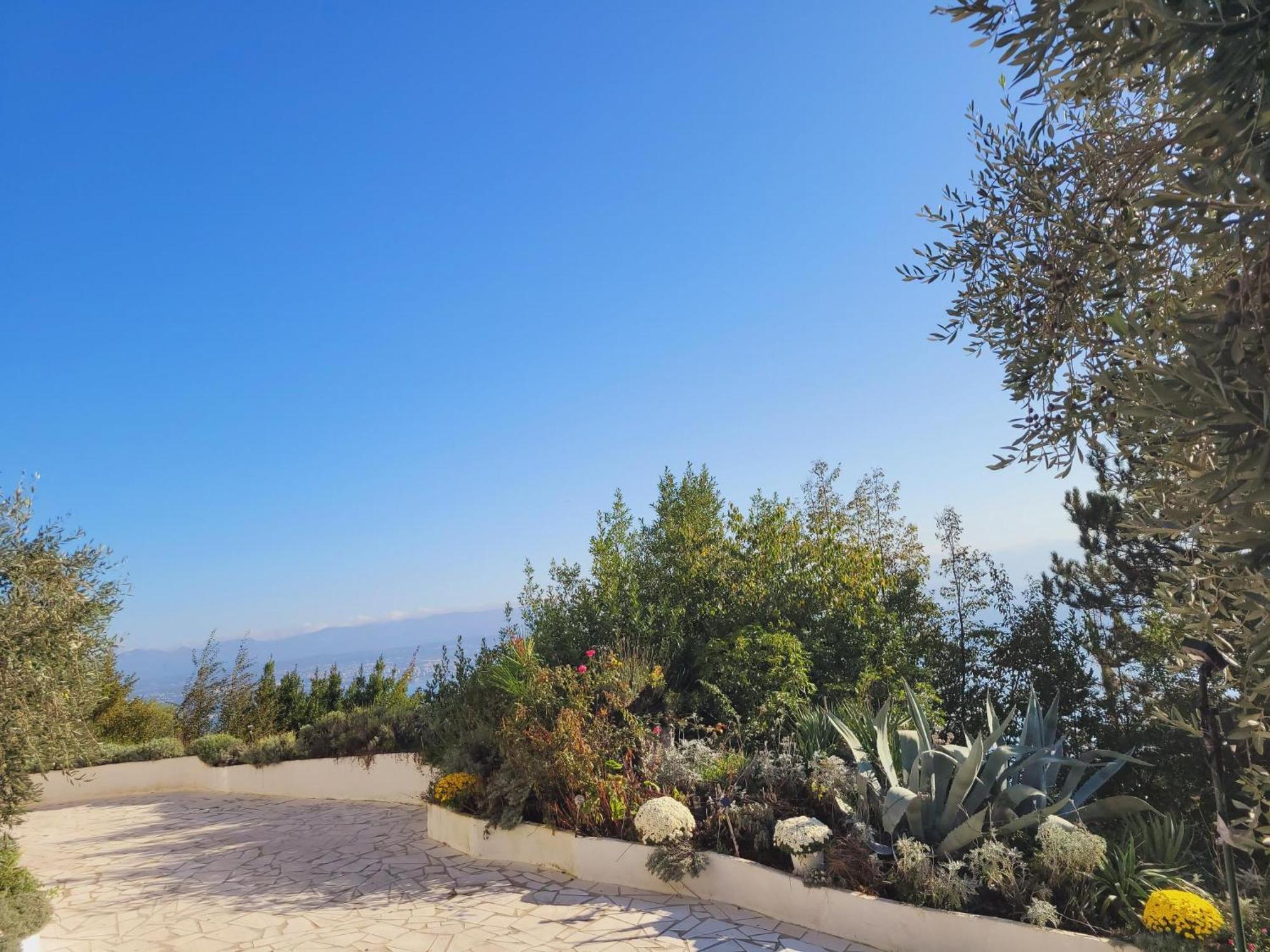 Apartments Chiara Mit Meerblick Und Pool Und Jacuzzi 로브란 외부 사진