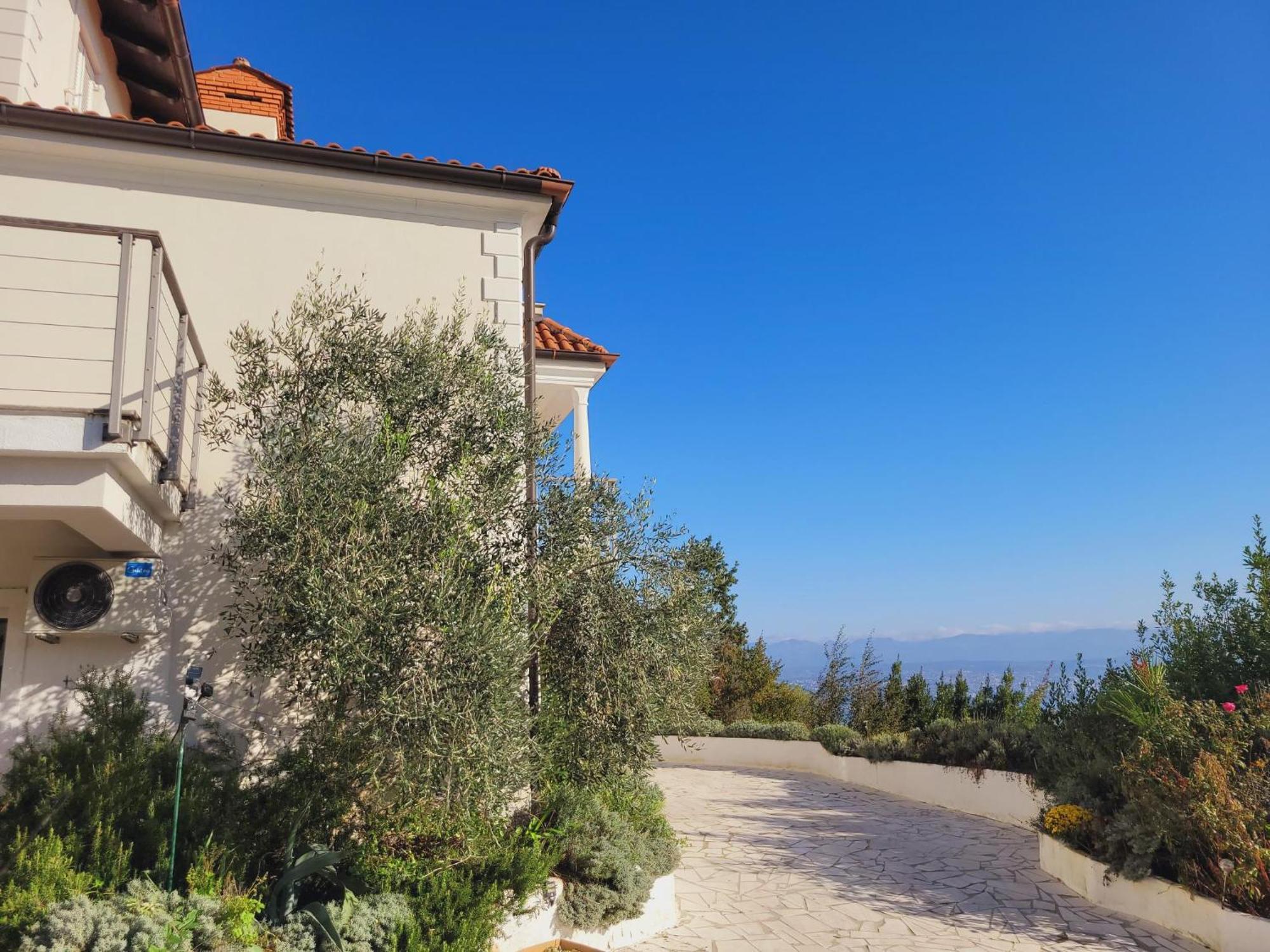 Apartments Chiara Mit Meerblick Und Pool Und Jacuzzi 로브란 외부 사진